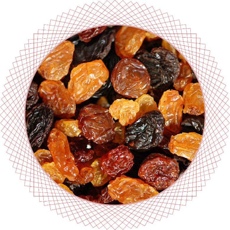 Malayar Raisin